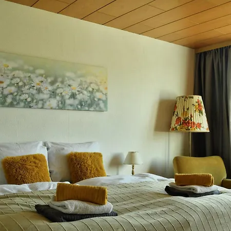Vintage Quartier - Haus Bis 16 Personen - 8 Wg Apartment *